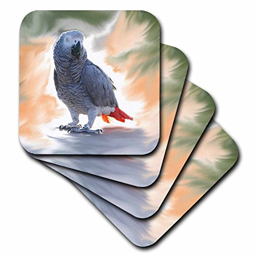 3dRose CST_4030_3 African Grey Parrot Ceramic Tile Coasters, Set of 4