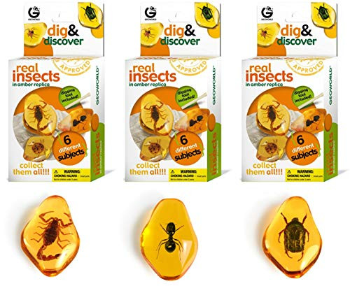 Geoworld Real Insects Dig and Discover (Set 1)