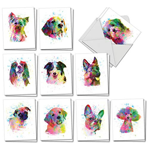 Funky Rainbow Dogs: 20 Assorted Blank All Occasions Notecards Featuring Ecstatic Puppies Looking Lovingly Out at You, with Envelopes. AM7162OCB-B2x10