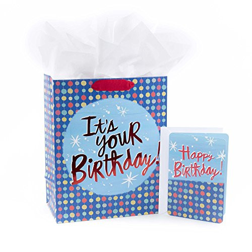 Hallmark Large Gift Bag with Birthday Card and Tissue Paper (It's Your Birthday, Dots)