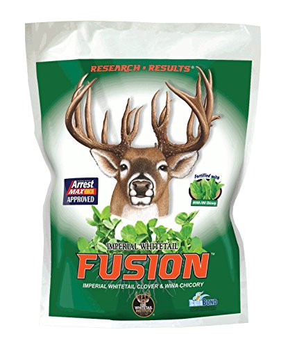 Whitetail Institute Fusion (Perennial) Clover & Chicory Food Plot Seed (Spring and Fall Planting), 3.15-Pound