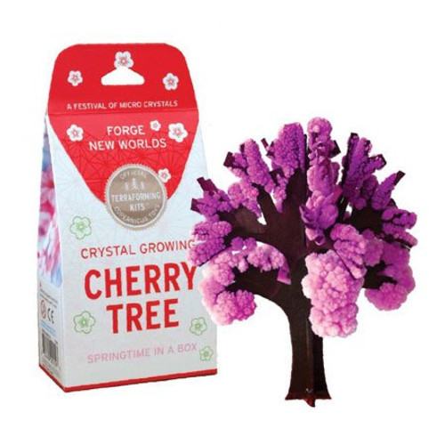 Crystal Growing Cherry Tree