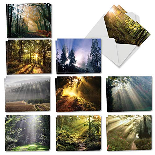 Shining Through - 20 Beautiful Blank Note Cards with Envelopes (4 x 5.12 Inch) - Boxed Assortment of All-Occasion Outdoor Landscape Greetings - Bulk Notecard Set (2 Each, 10 Designs) AM1735OCB-B2x10