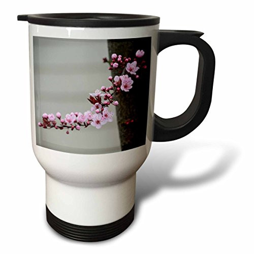 3dRose Pretty Spring Flowers-Pink Cherry Blossom-Photography Stainless Steel Travel Mug, 14-Ounce 3dRose Pretty Spring Flowers-Pink Cherry Blossom-Photography Stainless Steel Travel Mug, 14-Ounce