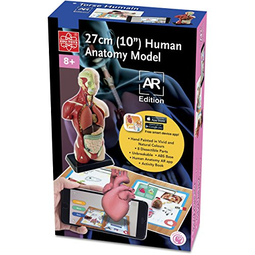 EDU-TOYS Elenco 10" Human Anatomy A.R. Bulding Model Kit