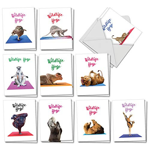 Wildlife Yoga: 20 Assorted Blank All Occasions Greeting Cards Describing Peaceful Animals Working on Their Flexibility, with Envelopes. AM7030OCB-B2x10