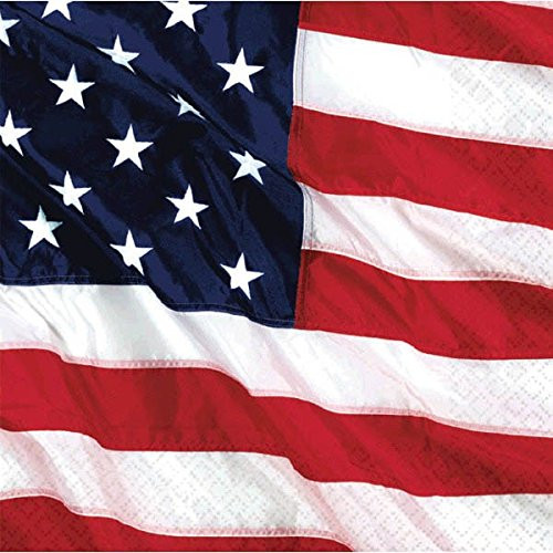 Flying Colors Party Luncheon Napkins, 16 Ct.