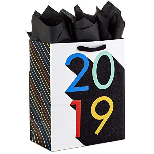 Hallmark Large Gift Bag with Tissue Paper for Graduations (Rainbow, Class of 2019) Hallmark Large Gift Bag with Tissue Paper for Graduations (Rainbow, Class of 2019)