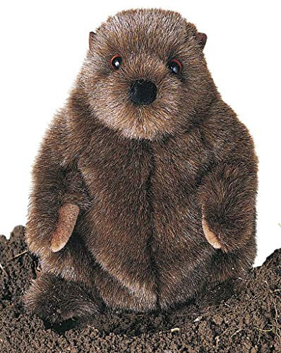 Douglas Cuddle Toys Plush Chuckwood Groundhog 11"