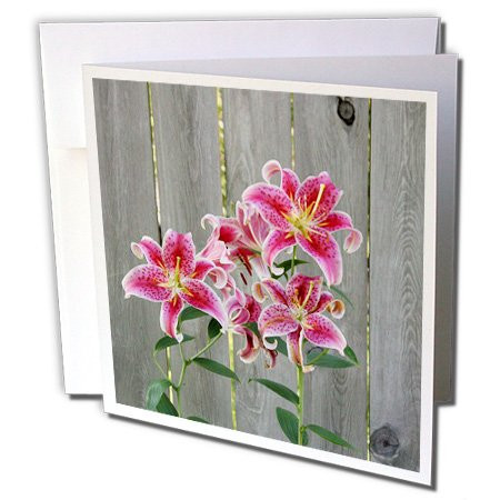 3dRose Stargazer Lily by Rustic Fence - Greeting Card, 6" x 6", Single (gc_228229_5)