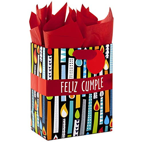 Hallmark VIDA Medium Spanish Gift Bag with Tissue Paper for Birthday (Feliz Cumple) Hallmark VIDA Medium Spanish Gift Bag with Tissue Paper for Birthday (Feliz Cumple)
