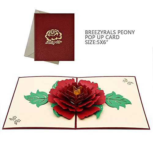 Pop Up Thank You Cards, Breezypals 3D Peony Birthday Card, Greeting Cards Wedding Thank You Cards with Envelopes