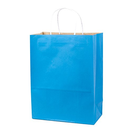 Hallmark 13" Large Gift Bag - Blue Kraft for Hanukkah, Holidays, Birthdays, Baby Showers, Fathers Day or Any Occasion Hallmark 13" Large Gift Bag - Blue Kraft for Hanukkah, Holidays, Birthdays, Baby Showers, Fathers Day or Any Occasion