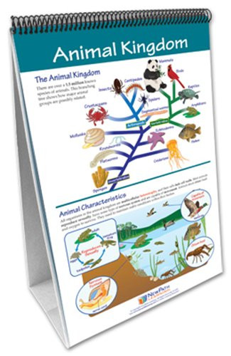 NewPath Learning 34-6729 'The Six Kingdoms' Flip Chart Set