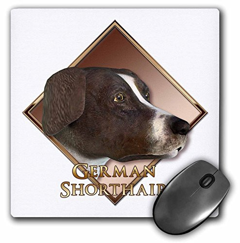 3dRose LLC 8 x 8 x 0.25 Inches Mouse Pad, German Shorthair Dog (mp_52431_1)