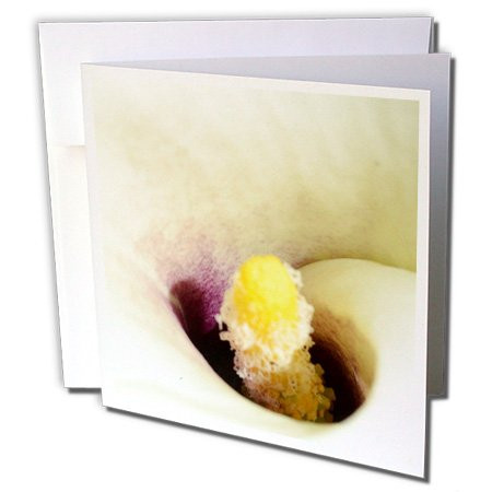 3dRose White & Yellow Calla Lily II Greeting Cards, 6" x 6", Set of 12 (gc_23587_2)