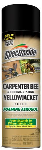 Spectracide 53371 Bee and Ground Yellow Jacket, 16-Ounce Carpenter Bee & Ground-Nesting Yellowjacket Killer Foaming Aerosol, Case Pack of 1