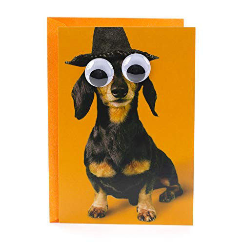 Hallmark Shoebox Funny Halloween Card (Dog with Googly Eyes)