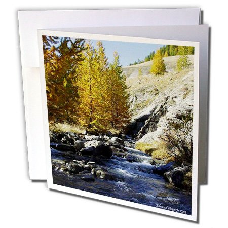 3dRose Rocky Mountain Rivers and Creeks - Greeting Cards, 6 x 6 inches, set of 6 (gc_58857_1)