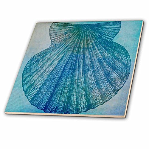3dRose ct_79342_1 Large Aqua Shell Beach Theme Art Ceramic Tile, 4"