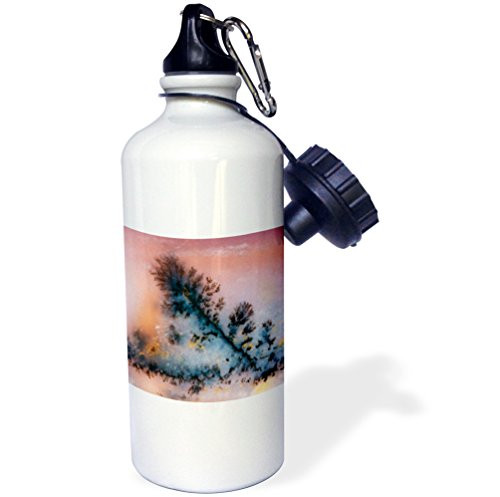 3dRose wb_92202_1"Nevada. Amethyst sage agate, natural pattern US29 BJA0050 Jaynes Gallery" Sports Water Bottle, 21 oz, White