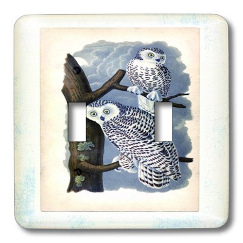 3dRose lsp_37398_2 Snowy Barn Owls Double Toggle Switch Not applicble 3dRose lsp_37398_2 Snowy Barn Owls Double Toggle Switch Not applicble