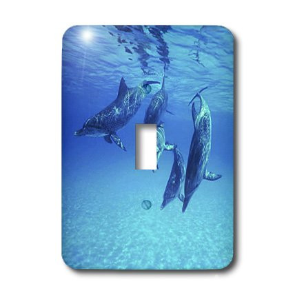 3dRose lsp_39010_1"Dolphins Underwater" Single Toggle Switch