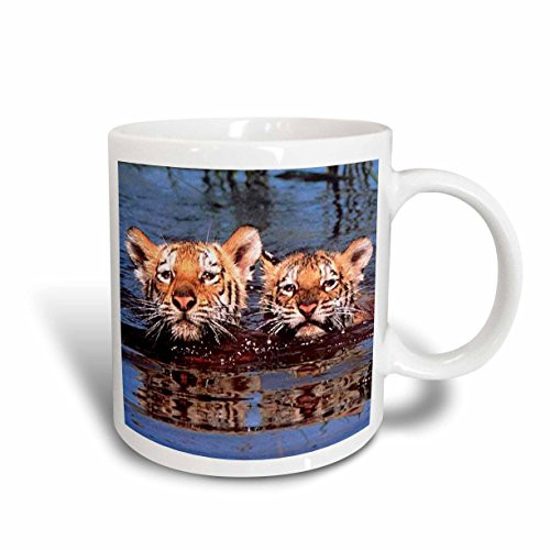 3dRose Tiger Cubs Mug, 15-Ounce