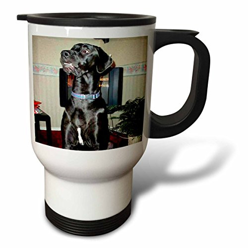 3dRose Black Great Dane Travel Mug, 14-Ounce