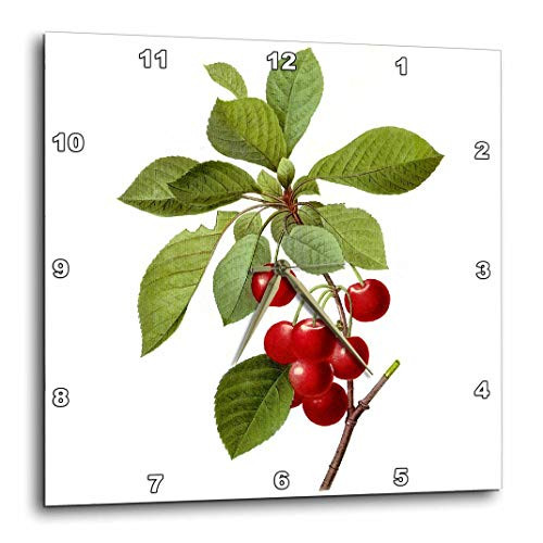 3dRose 3D Rose Redoute Vintage Watercolor Fruit Cherries Cerasus Domestica - Wall Clock, 10-inch (DPP_106852_1)