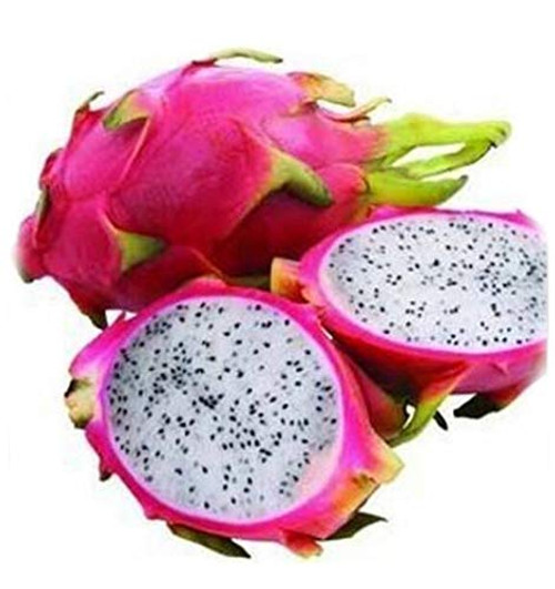 50pcs Pitaya Seeds, White Dragon Fruit Seeds, (Pitaya/Pitahaya/Strawberry Pear) Bonsai