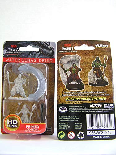 D&d Nolzur's Marvelous Miniatures - Water Genasi Male Druid