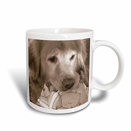 3dRose Golden Retriever by Angelandspot Ceramic Mug, 15-Ounce
