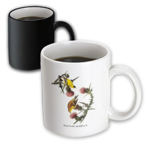3dRose 114017_3 American Goldfinch by John James Audubon Magic Transforming Mug, 11 oz, Black/White