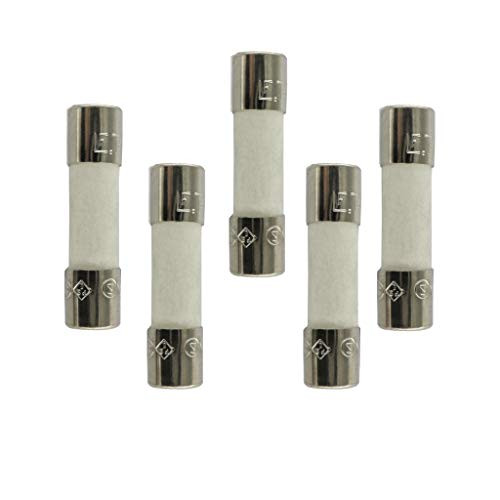 5pcs. of VG_S T10AH250V, T10A 250V, T10 H250V, T10H250V Cartridge Ceramic fuses 10a 250v Fuse (Quality USA Brand fuses)