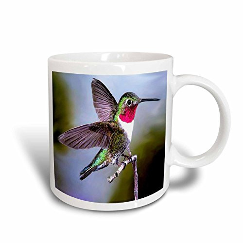 3dRose Hummingbird Mug, 11-Ounce