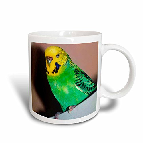 3dRose Budgie Parakeet Mug, 11-Ounce