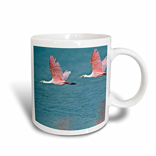 3dRose 89031_2 Florida, Ding Darling NWR, Roseate Spoonbill birds-US10 BFR0108-Bernard Friel Ceramic mug, 15 oz, White