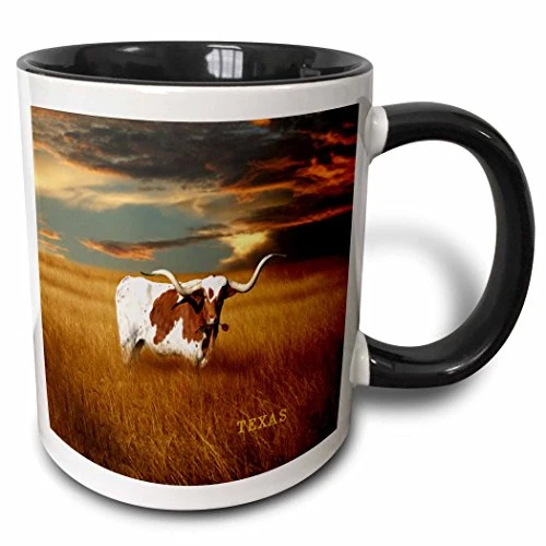 3dRose mug_62229_4"A Texas Longhorn" Two Tone Black Mug, 11 oz, Multicolor