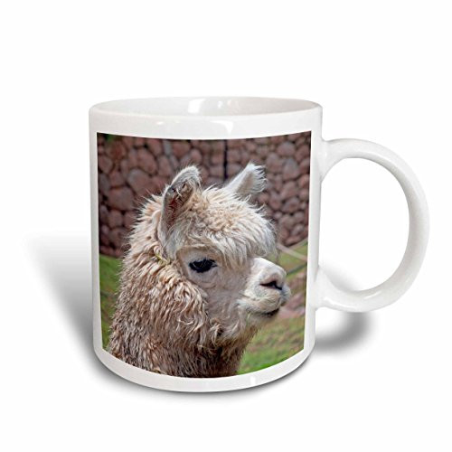 3dRose 87050_1 Peru Alpaca Wildlife, Awana Kancha, Urubamba Valley Kymri Wilt Ceramic Mug, 11 oz, White