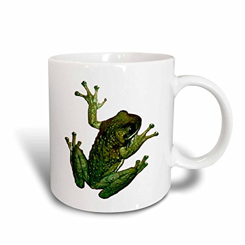3dRose Green Frog Mug, 11-Ounce