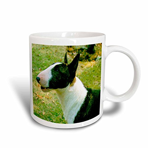 3dRose Miniature Bull Terrier Ceramic Mug, 11-Ounce