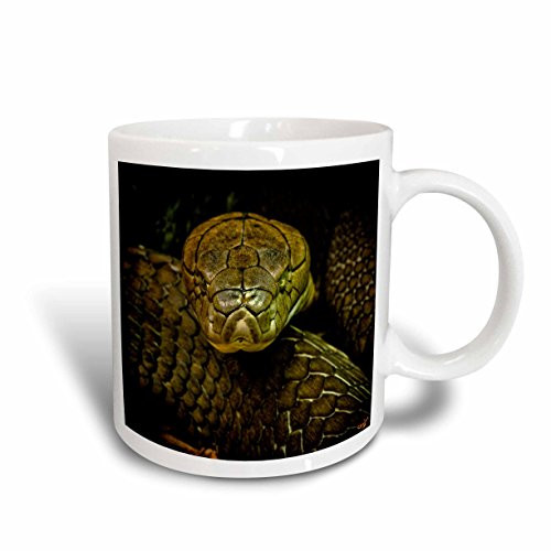3dRose mug_55966_1"Cobra Snake Green Coiled" Ceramic Mug, 11 oz, Multicolor