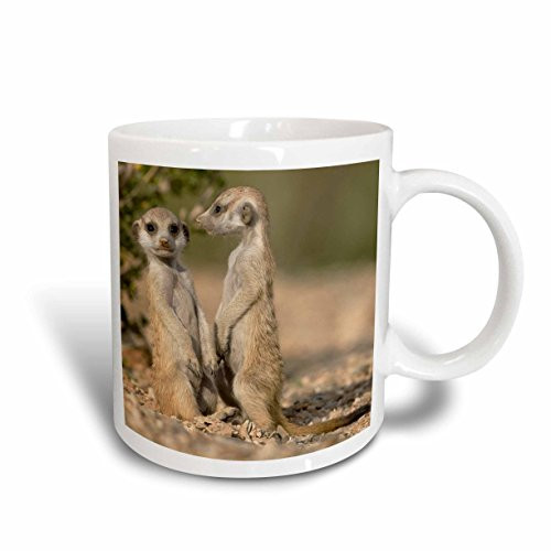 3dRose Namibia, Keetmanshoop, Meerkat, Namib Desert, Mongoose, Ceramic Mug, 11-Oz 3dRose Namibia, Keetmanshoop, Meerkat, Namib Desert, Mongoose, Ceramic Mug, 11-Oz