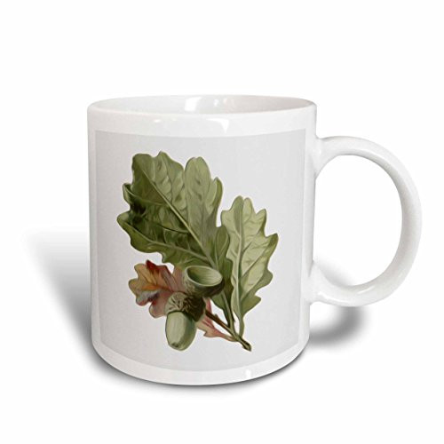 3dRose mug_104653_1 Vintage Oak Leaves and Acorns Digital Nature Oil Painting Ceramic Mug, 11-Ounce