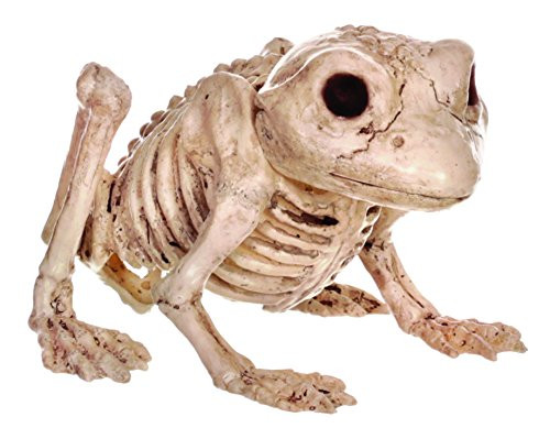 Crazy Bonez Skeleton Frog