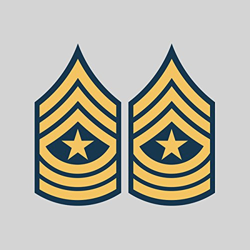 fagraphix Two Pack E-9 Sergeant Major Insignia Sticker Decal Vinyl United States Army FA Vinyl
