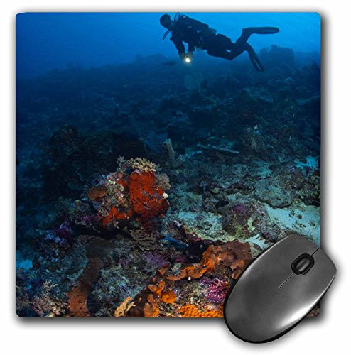 3dRose LLC 8 x 8 x 0.25 Inches Mouse Pad, Scuba Diving, Tukang Besi Preserve, indonesia-As11 Sws0408 - Stuart Westmorl and (mp_74821_1)
