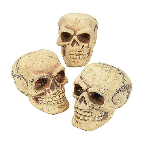 Fun Express - Skulls (3pc) for Halloween - Home Decor - Figurines - Molded - Halloween - 3 Pieces