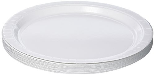 Amscan Frosty White Round Paper Plates, 20 Ct. | Party Tableware